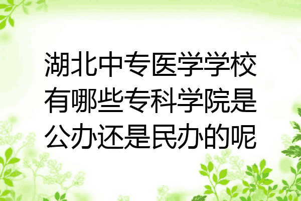 湖北中专医学学校有哪些专科学院是公办还是民办的呢