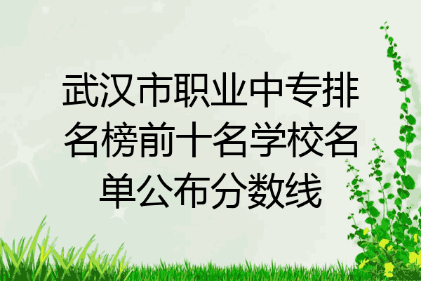 武汉市职业中专排名榜前十名学校名单公布分数线