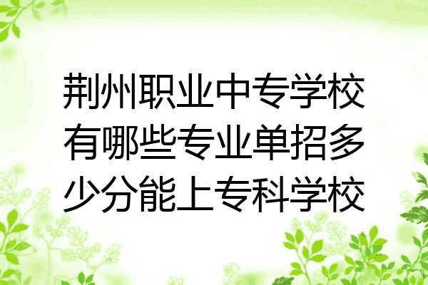 荆州职业中专学校有哪些专业单招多少分能上专科学校