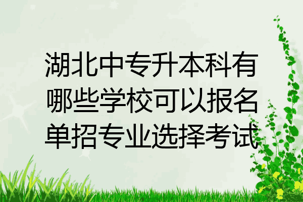湖北中专升本科有哪些学校可以报名单招专业选择考试