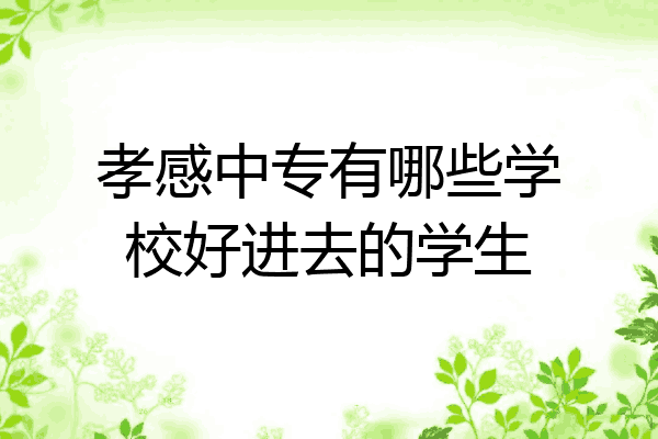 孝感中专有哪些学校好进去的学生