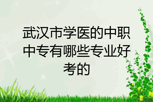 武汉市学医的中职中专有哪些专业好考的