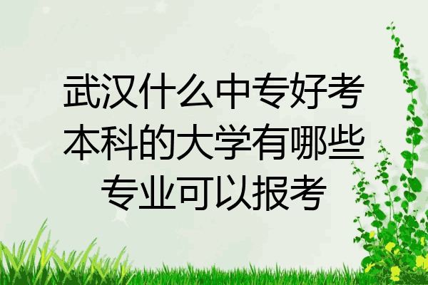 武汉什么中专好考本科的大学有哪些专业可以报考