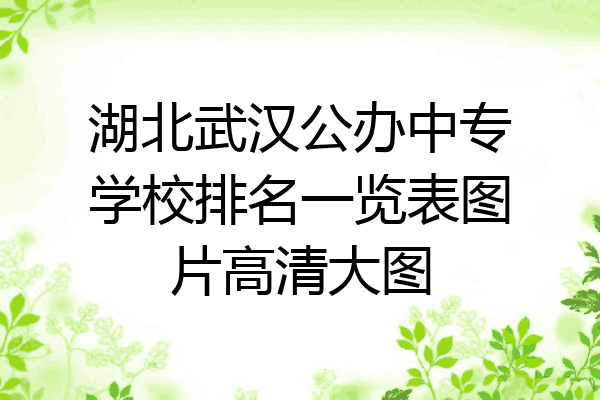 湖北武汉公办中专学校排名一览表图片高清大图