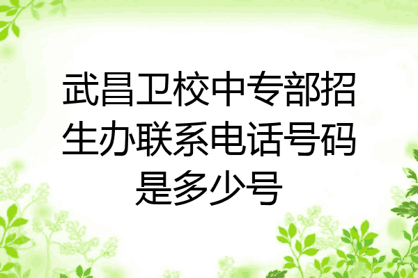 武昌卫校中专部招生办联系电话号码是多少号