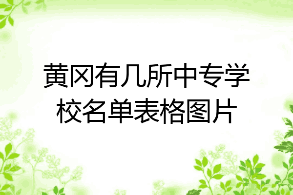 黄冈有几所中专学校名单表格图片
