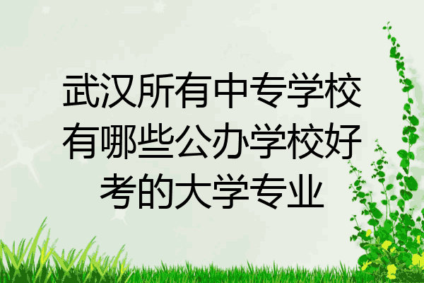 武汉所有中专学校有哪些公办学校好考的大学专业