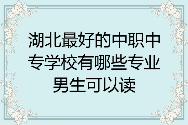 湖北最好的中职中专学校有哪些专业男生可以读