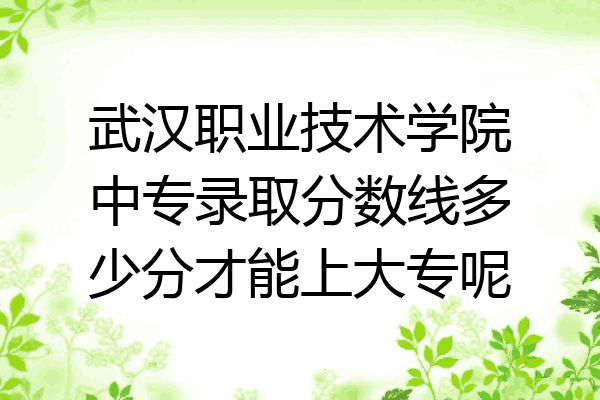 武汉职业技术学院中专录取分数线多少分才能上大专呢