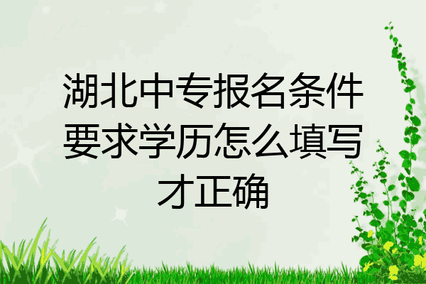 湖北中专报名条件要求学历怎么填写才正确