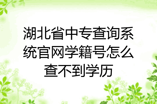 湖北省中专查询系统官网学籍号怎么查不到学历