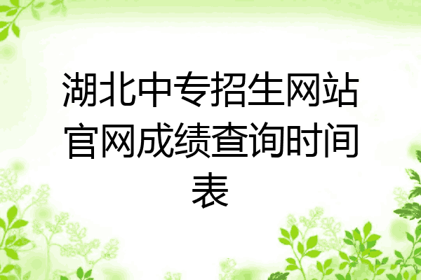 湖北中专招生网站官网成绩查询时间表
