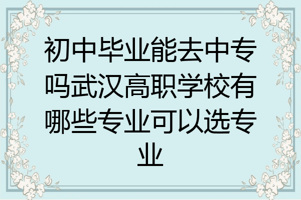 初中毕业能去中专吗武汉高职学校有哪些专业可以选专业