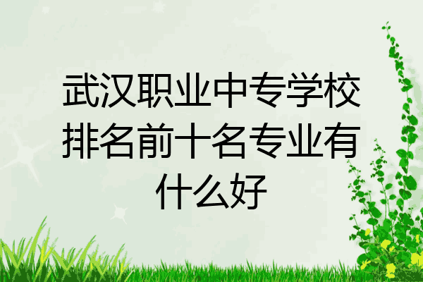武汉职业中专学校排名前十名专业有什么好
