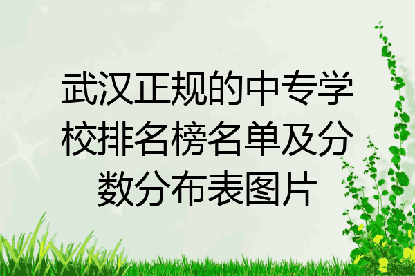 武汉正规的中专学校排名榜名单及分数分布表图片