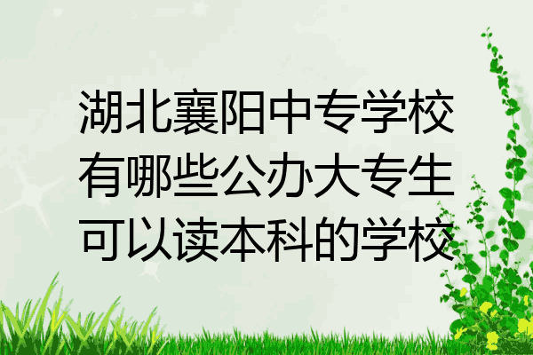 湖北襄阳中专学校有哪些公办大专生可以读本科的学校