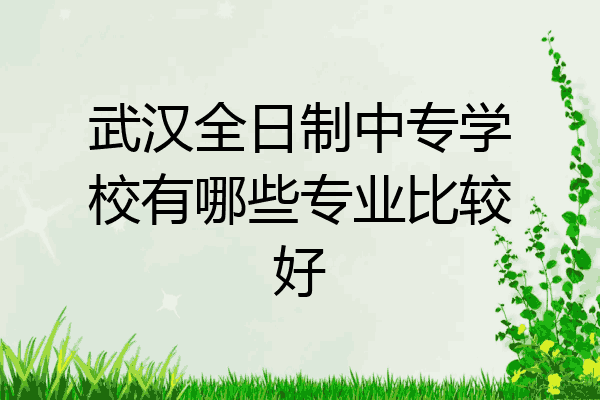武汉全日制中专学校有哪些专业比较好