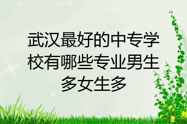 武汉最好的中专学校有哪些专业男生多女生多