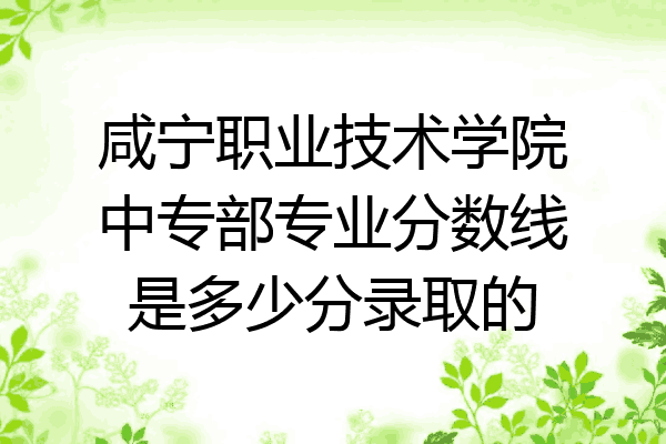 咸宁职业技术学院中专部专业分数线是多少分录取的