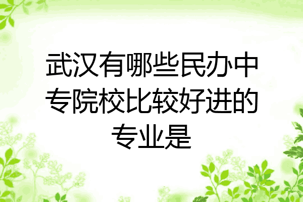 武汉有哪些民办中专院校比较好进的专业是
