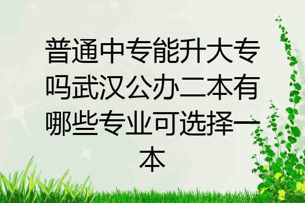 普通中专能升大专吗武汉公办二本有哪些专业可选择一本