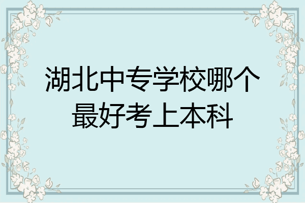 湖北中专学校哪个最好考上本科