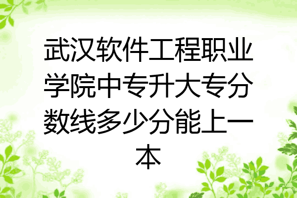 武汉软件工程职业学院中专升大专分数线多少分能上一本