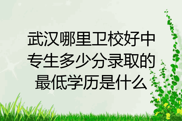 武汉哪里卫校好中专生多少分录取的最低学历是什么