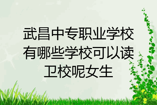 武昌中专职业学校有哪些学校可以读卫校呢女生