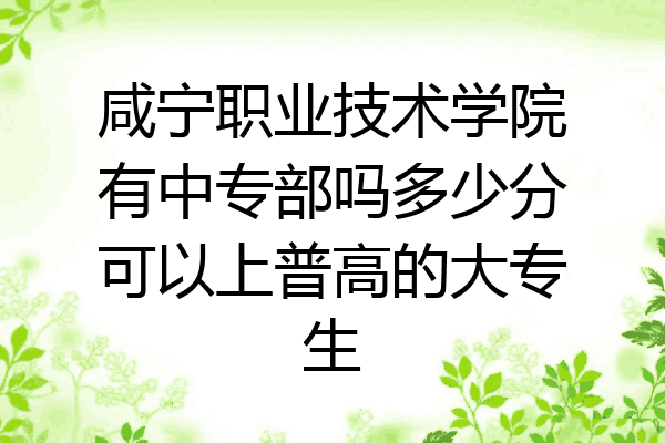 咸宁职业技术学院有中专部吗多少分可以上普高的大专生