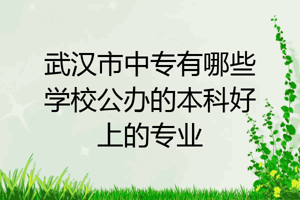 武汉市中专有哪些学校公办的本科好上的专业