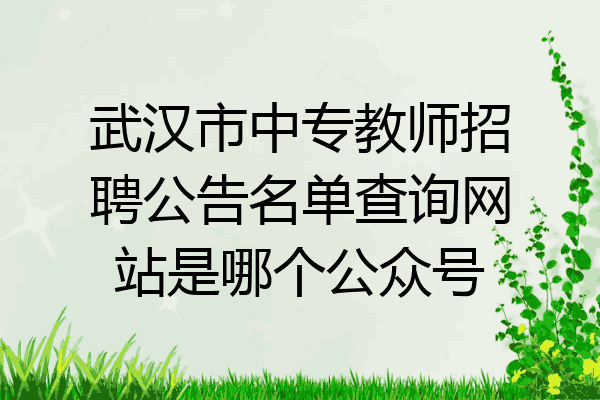 武汉市中专教师招聘公告名单查询网站是哪个公众号