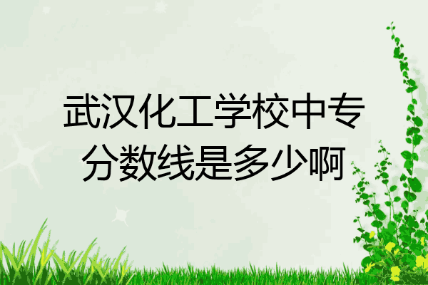 武汉化工学校中专分数线是多少啊