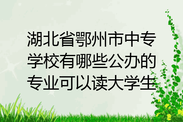 湖北省鄂州市中专学校有哪些公办的专业可以读大学生