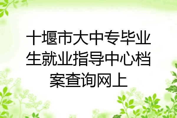 十堰市大中专毕业生就业指导中心档案查询网上