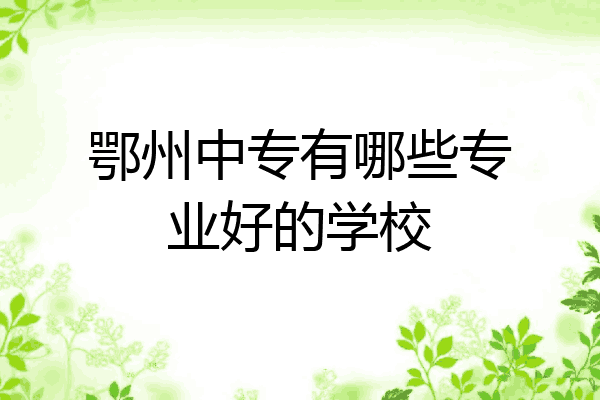 鄂州中专有哪些专业好的学校