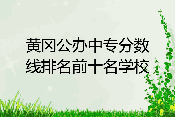 黄冈公办中专分数线排名前十名学校