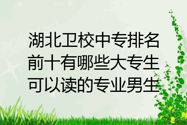 湖北卫校中专排名前十有哪些大专生可以读的专业男生