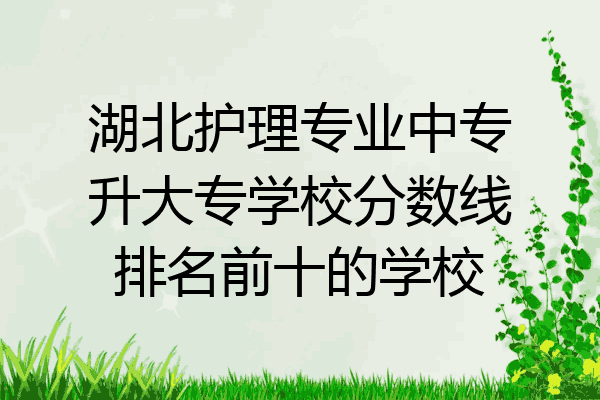 湖北护理专业中专升大专学校分数线排名前十的学校