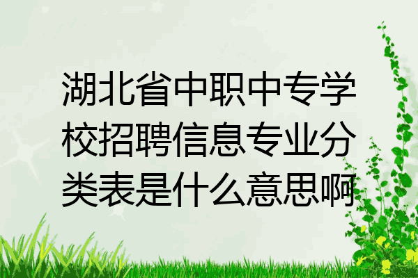 湖北省中职中专学校招聘信息专业分类表是什么意思啊