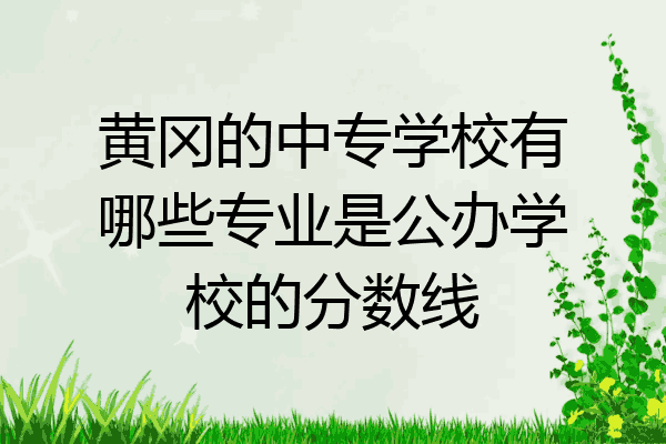 黄冈的中专学校有哪些专业是公办学校的分数线