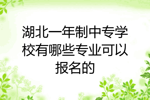 湖北一年制中专学校有哪些专业可以报名的