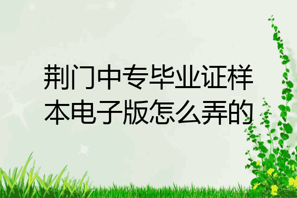 荆门中专毕业证样本电子版怎么弄的