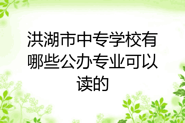 洪湖市中专学校有哪些公办专业可以读的