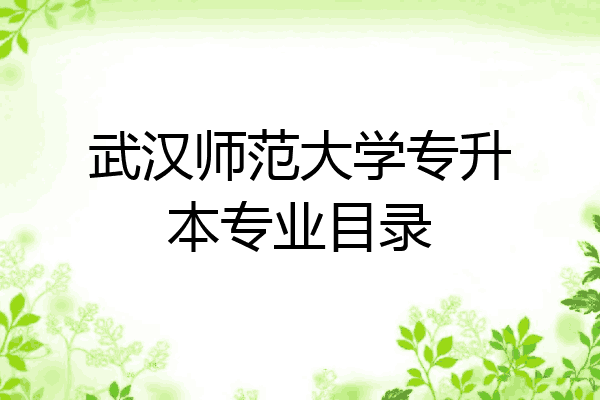 武汉师范大学专升本专业目录