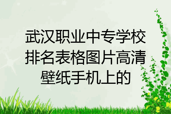 武汉职业中专学校排名表格图片高清壁纸手机上的