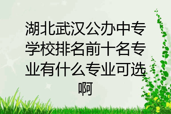 湖北武汉公办中专学校排名前十名专业有什么专业可选啊