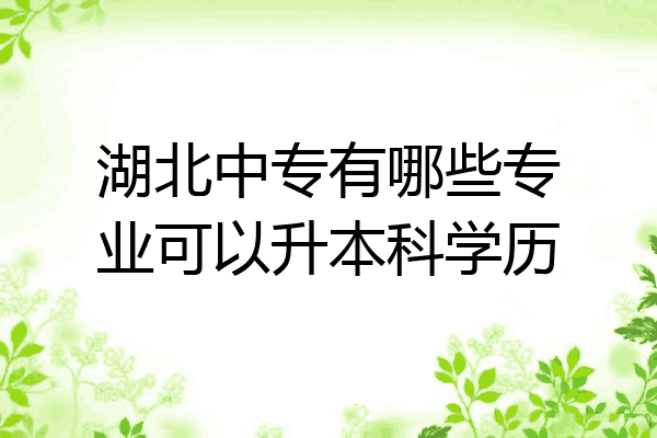 湖北中专有哪些专业可以升本科学历
