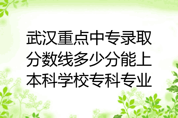 武汉重点中专录取分数线多少分能上本科学校专科专业