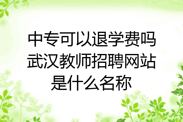 中专可以退学费吗武汉教师招聘网站是什么名称